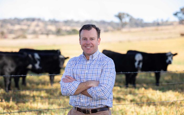 Media Release: Moylan Condemns Service NSW Cuts
