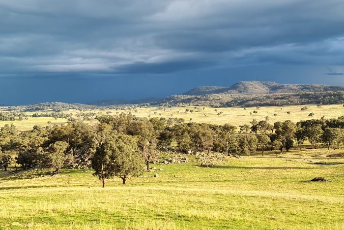 Media Release: Gone with the Wind – MP Welcomes Doughboy Decision Amidst Community Concern
