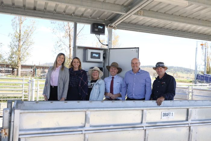 Media Release: Sheep saleyards up to date thanks to $193,101