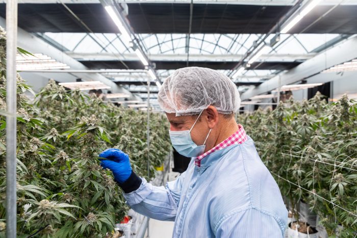 New jobs land in Armidale thanks to funding injection