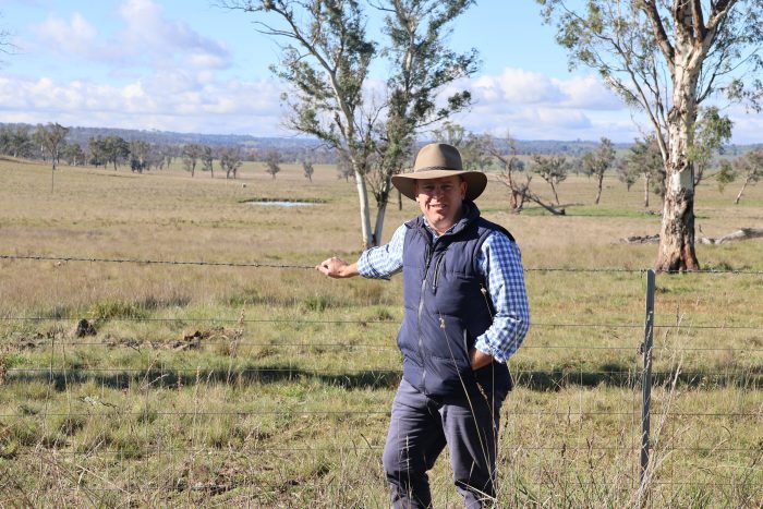 Virtual fencing finally legal in NSW