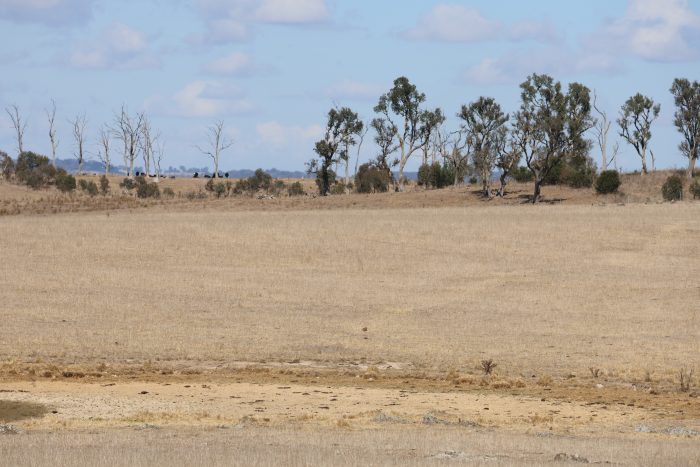 The government needs to support our farmers as drought worsens