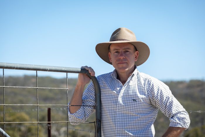 Urgent action needed to protect bee industry amid escalating crisis