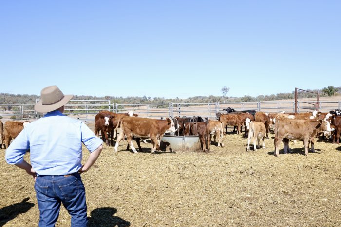 DROUGHT SET TO WORSEN – MP CALLS FOR EARLY ASSISTANCE